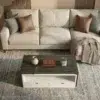 Lumora Modern Centre Table with Storage