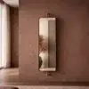 Swivel Wall Hanging Mirror