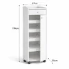 Velmora Shoe Cabinet