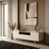 Vertex Modern Tv Unit