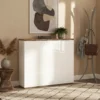 Vertiva Modern Shoe Cabinet
