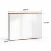 Vertiva Modern Shoe Cabinet
