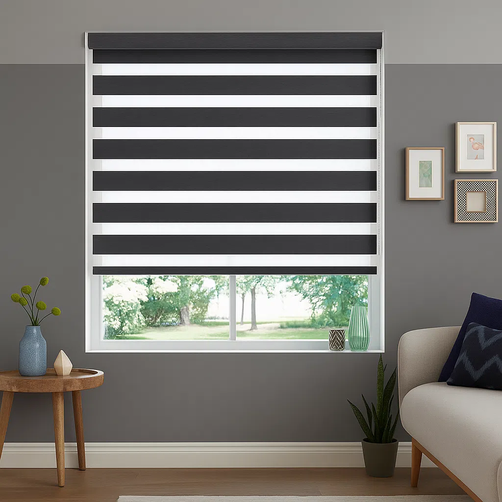 Zebra Blinds
