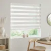 Zebra Blinds