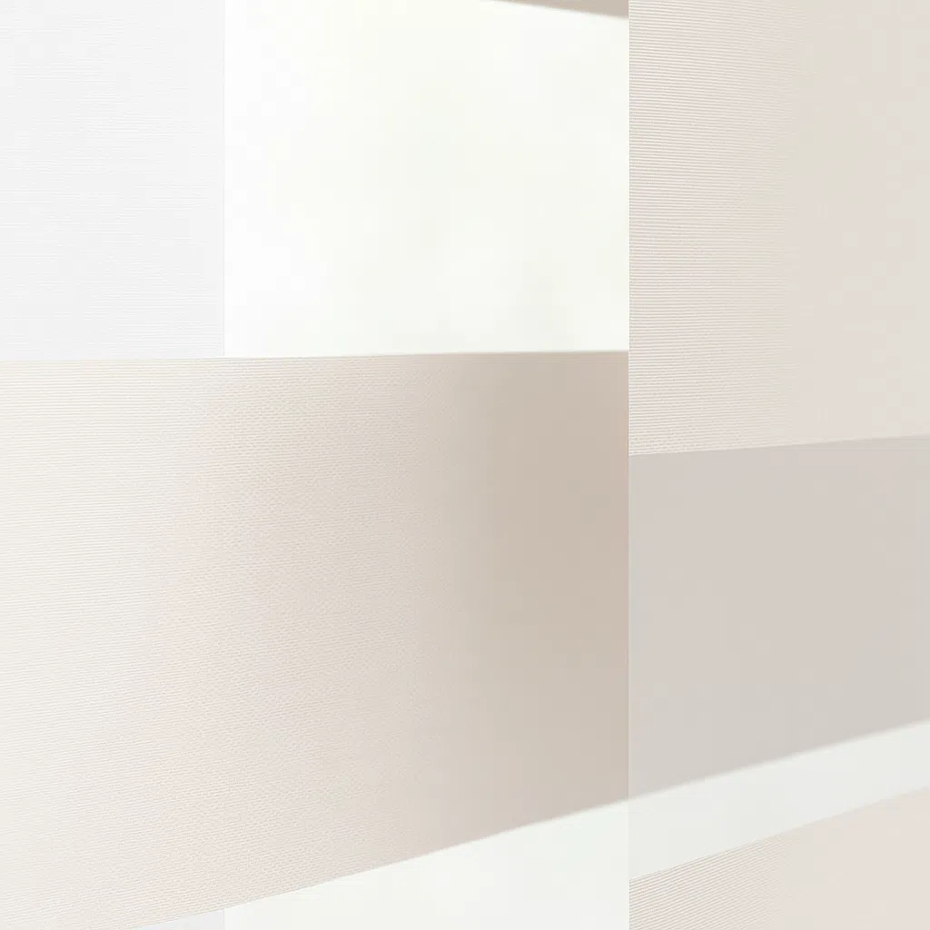 Zebra Blinds