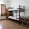 Heavy Duty Black Steel Bunk Beds