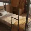 Formexa Loft Bunk Beds