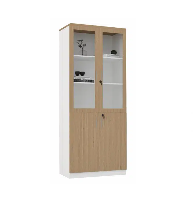Books Shelf Glass Door Cabinet