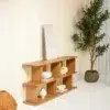 Cavaryn Display Shelf