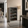 Cesily Steel Shoe Rack