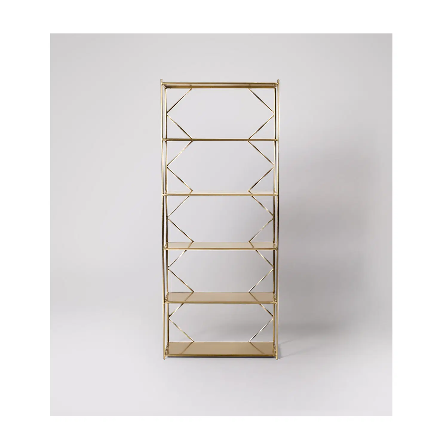 Wide Bookshelves Unit