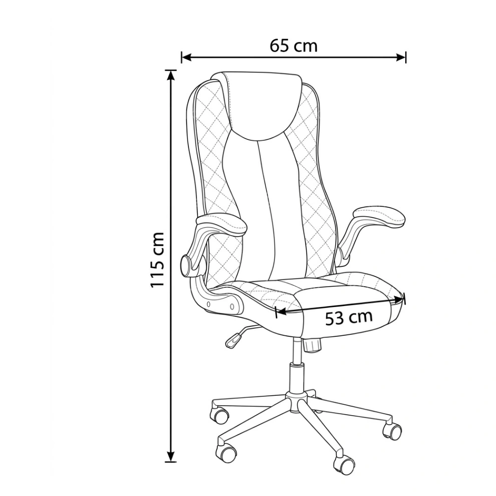 Agla Ergonomic Office Chair