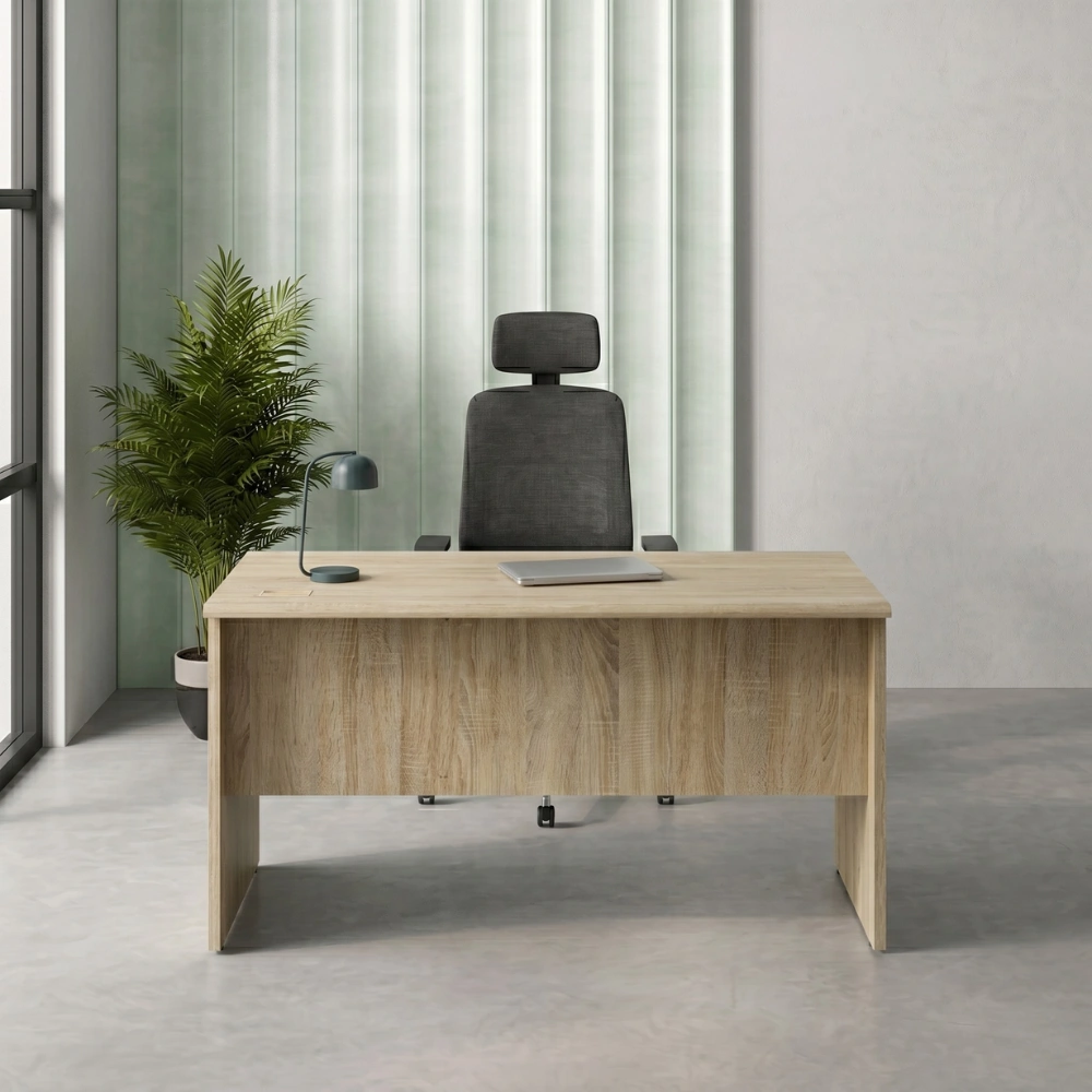 Fiecke Office Desk with Drawers