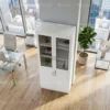 Homezia 2-Door Glass Wooden High Cabinet