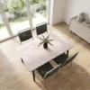 Arctic 1+4 Dining Set – White