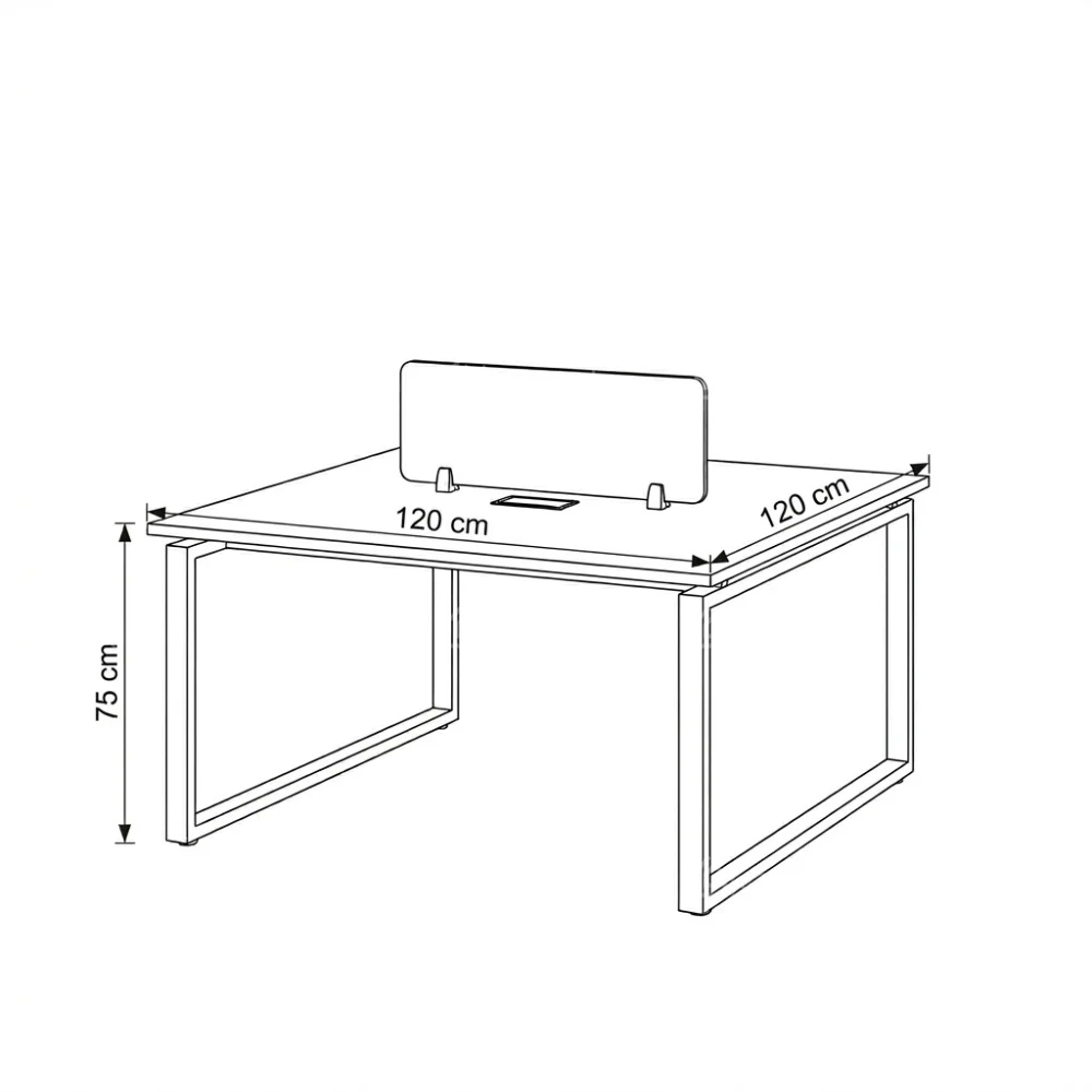 Trendora Two Person Workstation