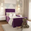 2 Single Kids Beds