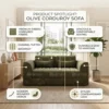 Levrona Sofa Cum Bed – Green